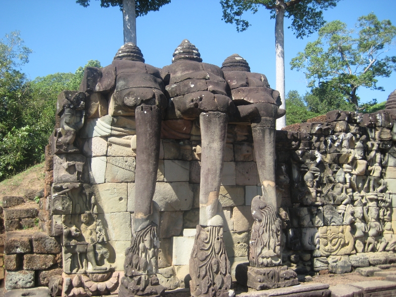 The Elephan Terra! The Elephan Terra!