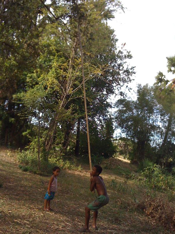 On one of the relative-visits, I saw this. A boy helping his mom collect fruit from a tree by shaking it.